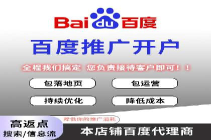 某电商平台的SEM推广策略及效果分析